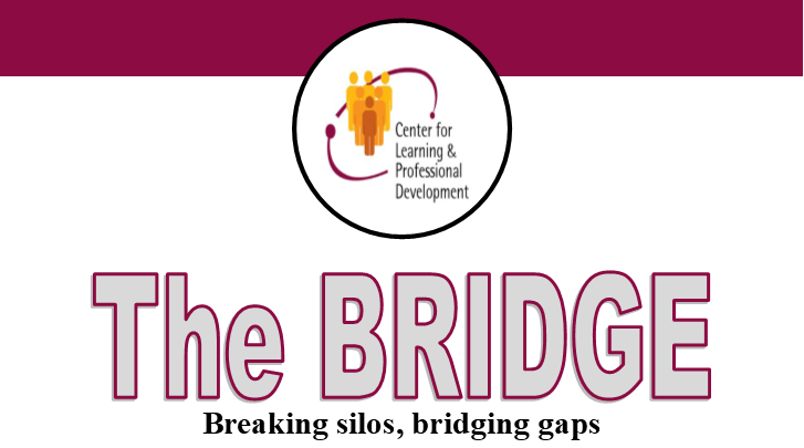 Bridge Newsletter Logo