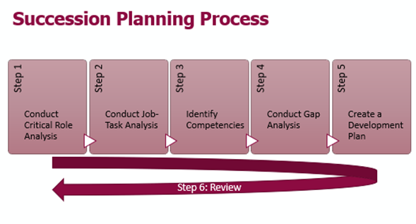 Succession Planning Process flowchart with six steps: critical role analysis, job-task analysis, identify competencies, gap analysis, development plan, and review.